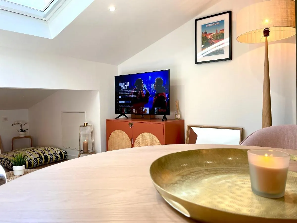Baby Loft Centre Historique Apartment Toulouse
