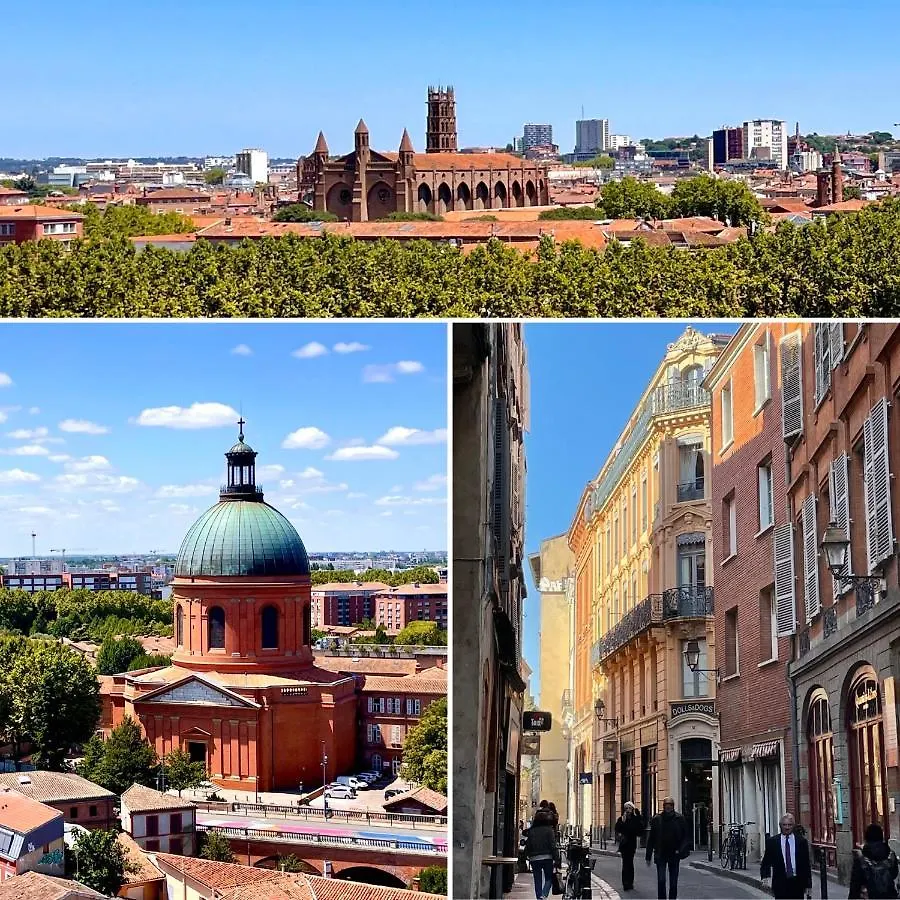 Baby Loft Centre Historique Apartment Toulouse 0*,